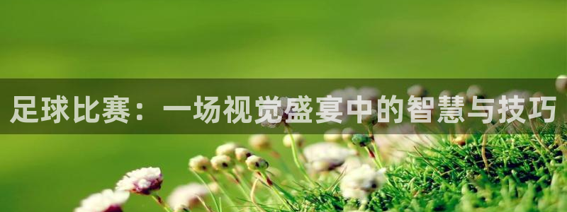 足球比赛:一场视觉盛宴中的智慧与技巧