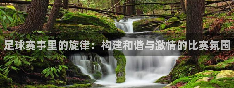 足球赛事里的旋律:构建和谐与激情的比赛氛围